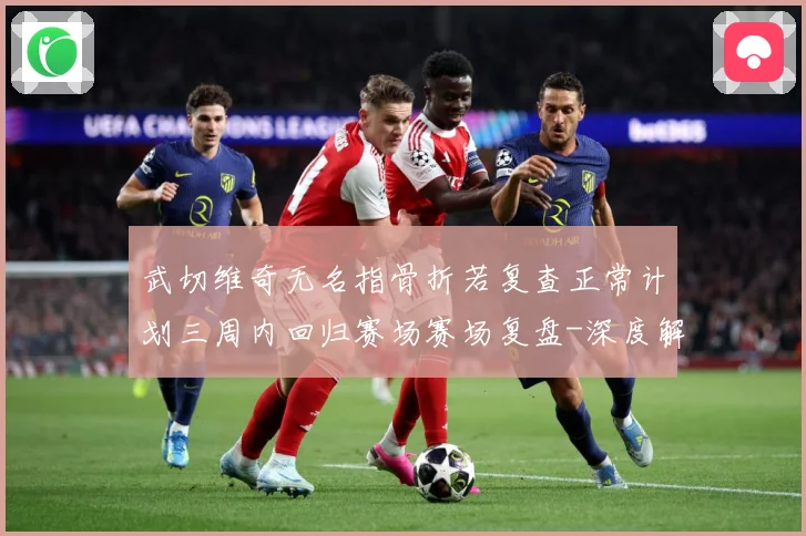 武切维奇无名指骨折若复查正常计划三周内回归赛场赛场复盘-深度解析
