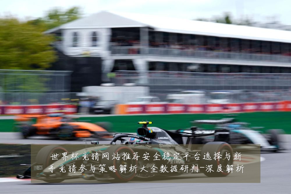 世界杯竞猜网站推荐安全稳定平台选择与新手竞猜参与策略解析大全数据研判-深度解析